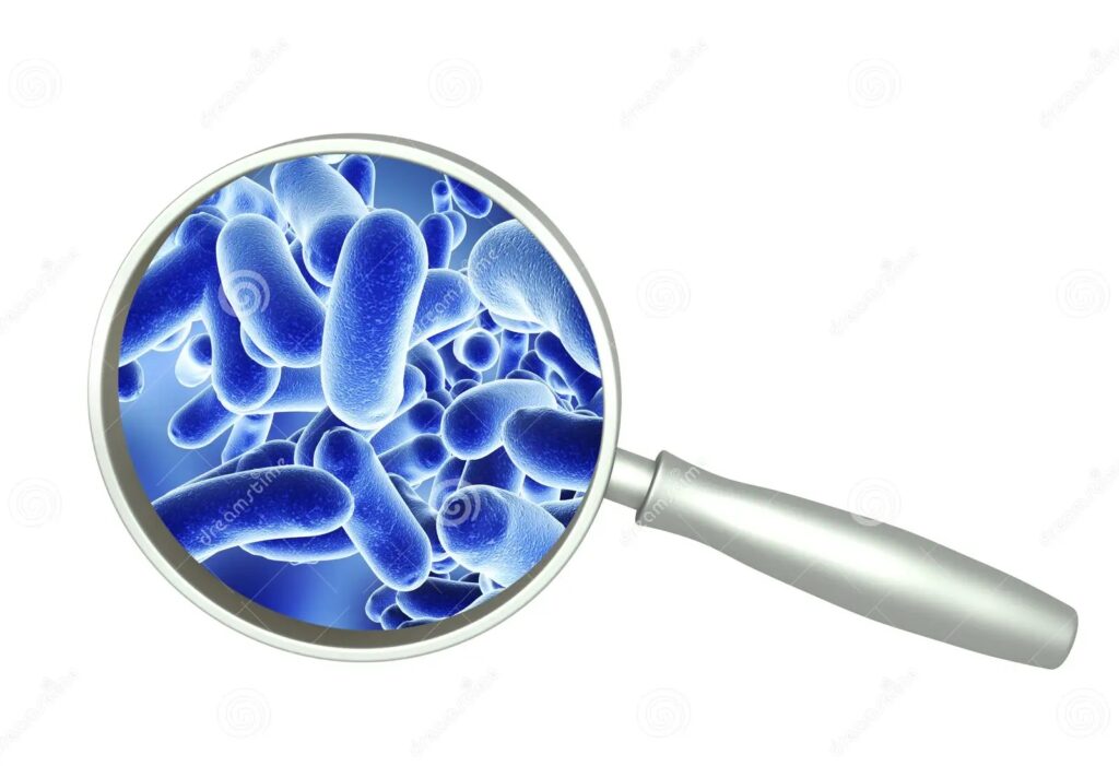 bacterias-de-la-lupa-y-el-patógeno-78254245